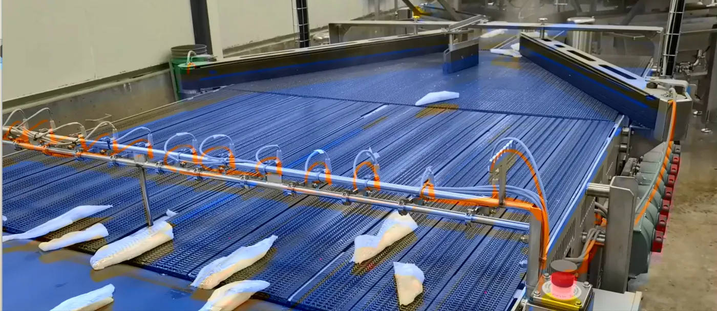 A wide blue modular-belt merge conveyor in a food plant, bringing many lanes of packaged product together into two lanes